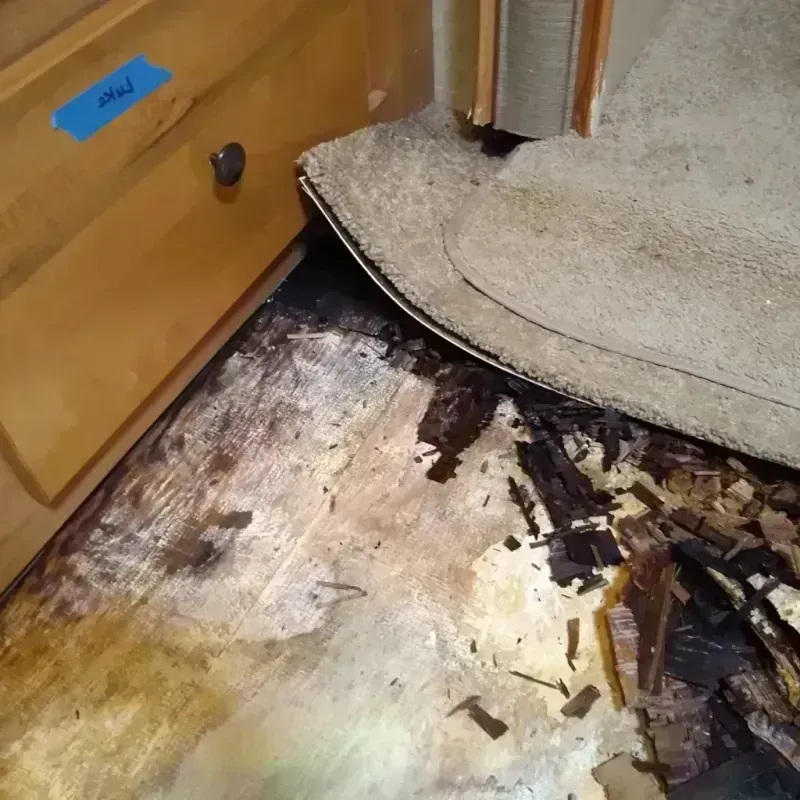 Wood Floor Water Damage in Grove City, FL